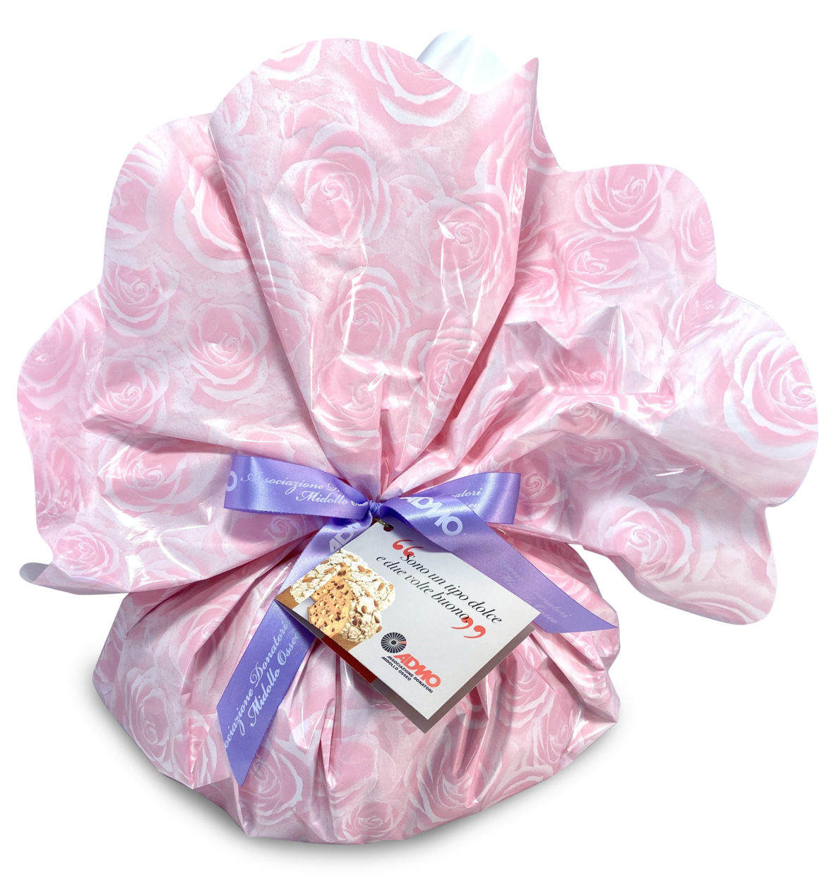Admo: “A colomba for life”